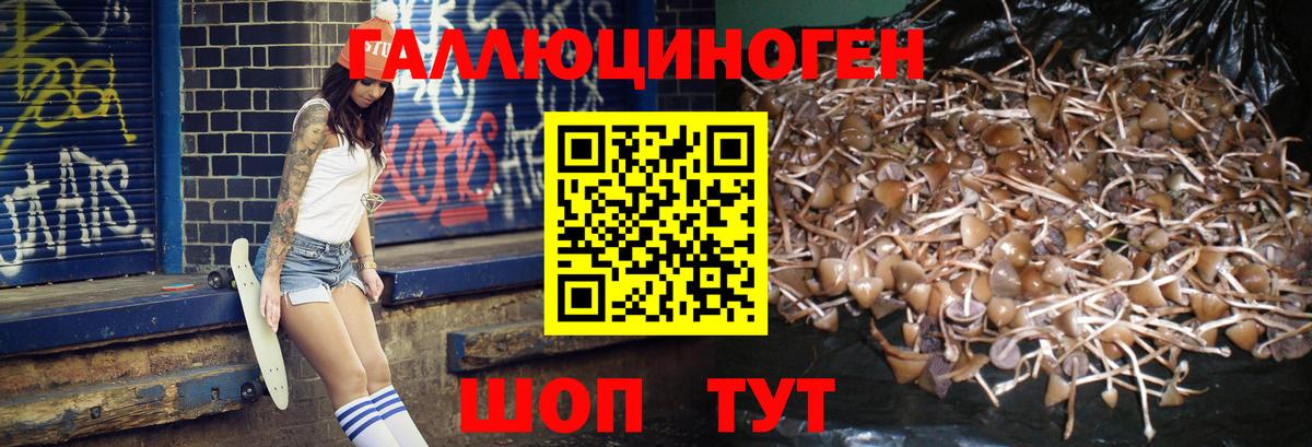 Псилоцибиновые грибы Magic Shrooms  Псилоцибиновые грибы Psilocybine cubensis  купить наркотики цена  Вход с VPN  Камень-на-Оби 