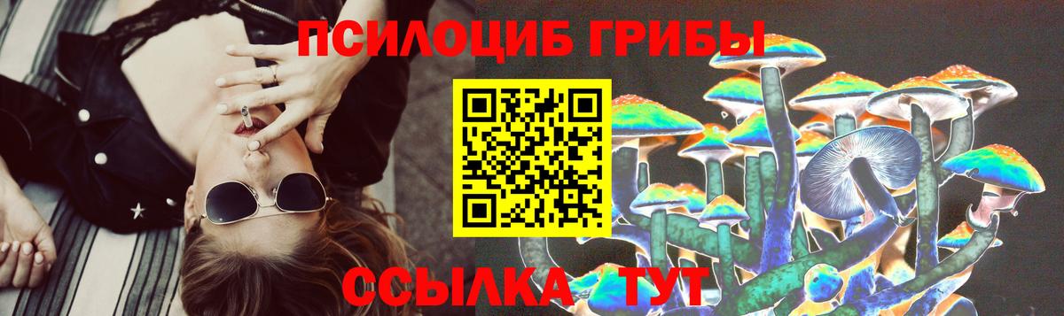 Псилоцибиновые грибы Psilocybe Камень-на-Оби