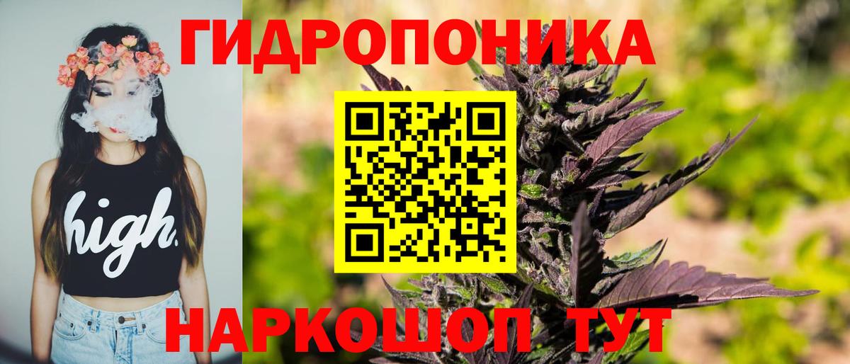 Конопля THC 21%  Бошки марихуана планчик  Камень-на-Оби  Вход с VPN  Канабис THC 21% 